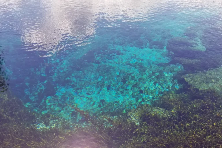 Vista da superfície de spring da Flórida revelando o fundo de pedras através da água cristalina