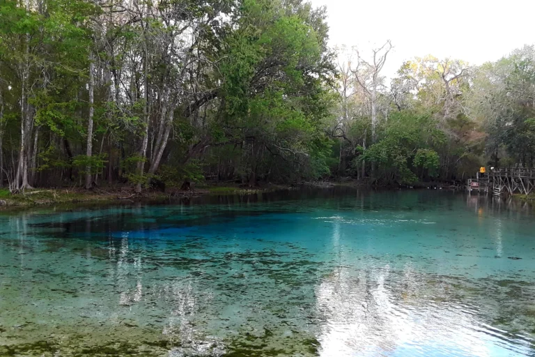 Vista panorâmica de nascente da Flórida com águas turquesa cercadas por floresta densa